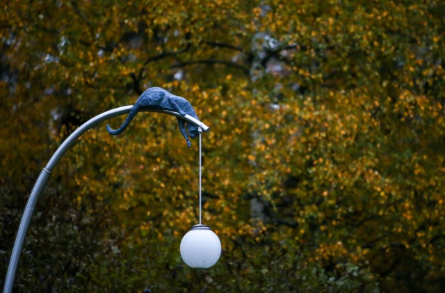 Zušuciema parks
